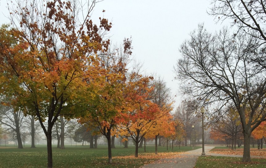 Daily Housewifey Dose&nbsp;#20