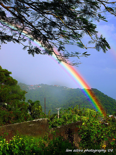 Daily Housewifey Dose&nbsp;#66