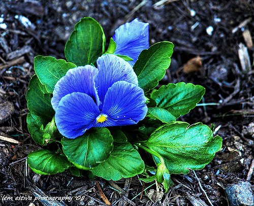 Daily Housewifey Dose&nbsp;#36