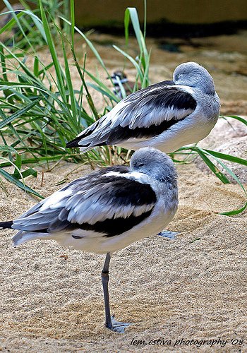 Daily Housewifey Dose&nbsp;#33