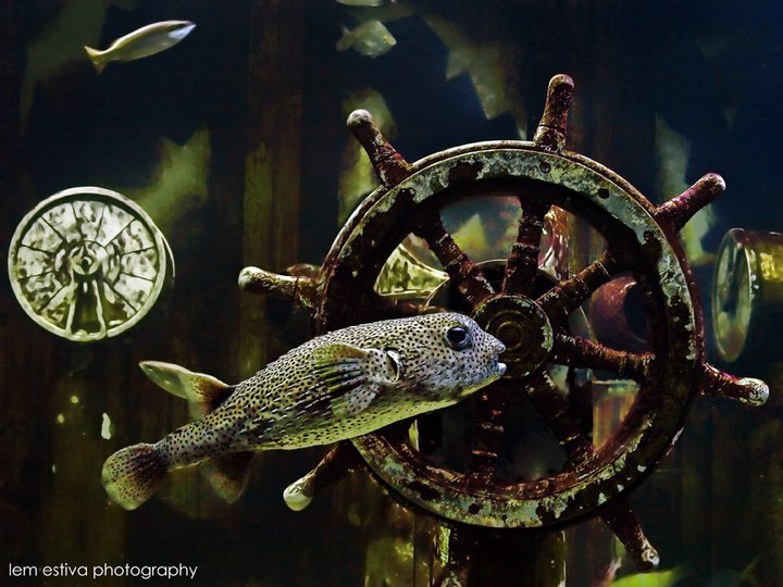 Daily Housewifey Dose&nbsp;#29