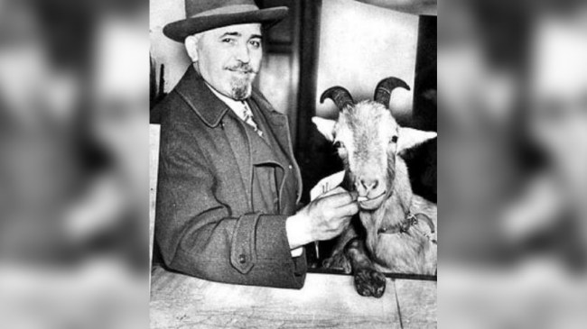 william-sianis-billy-goat-pd